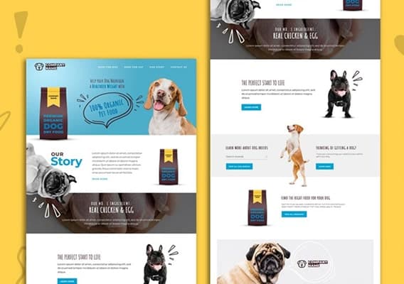 Website subscription mockup